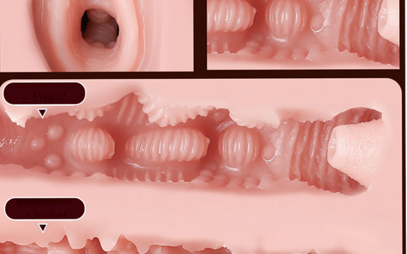 ket cau ben trong bup-be-tinh-duc-nhat-ban